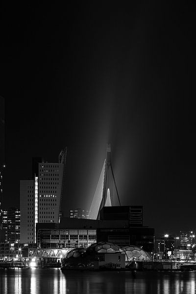 Erasmus brug in Rotterdam van Arend van der Salm