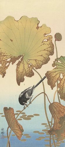 Japanische Bachstelze auf der Lotuspflanze des Ohara Koson
