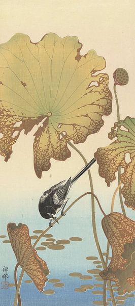Japanische Bachstelze auf der Lotuspflanze des Ohara Koson von Gave Meesters