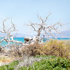 Zonnig strand op Chrissi Island, Griekenland van Herman Kuiper
