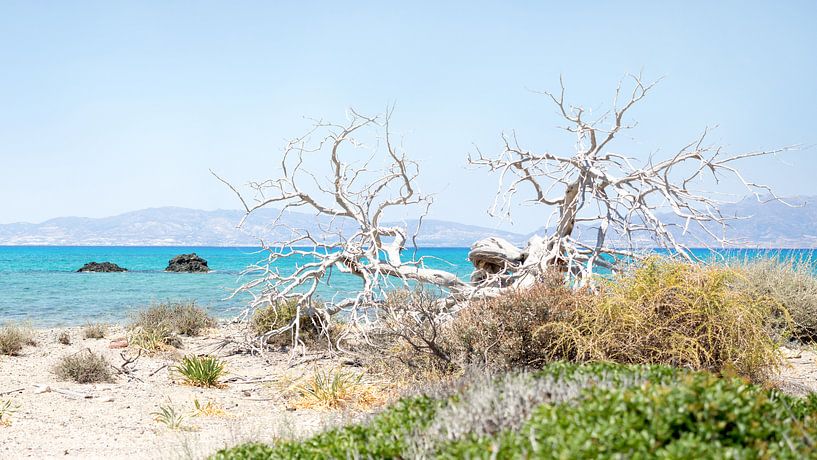 Chrissi Island, Griechenland von Herman Kuiper