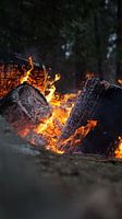 Lagerfeuer, Yosemite, USA