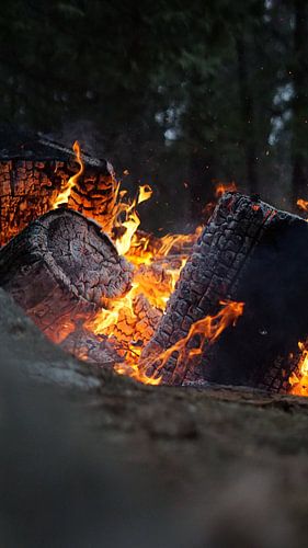 Campfire, Yosemite, USA
