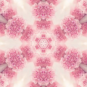 Mandala avec oeillets roses sur Sabine Wagner
