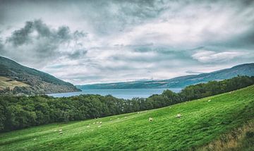Great Glen in de Schotse Hooglanden bij het beroemde Loch Ness. Prachtige natuur in de Highlands. van Jakob Baranowski - Photography - Video - Photoshop