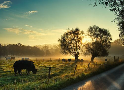 Zonsopgang over de velden.