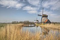 Molens bij Rustenburg