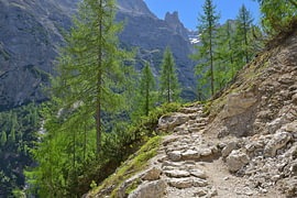 Ein Wanderweg führt durch die grünen Bäume einen Berg empor von Tomherkules