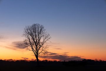 Sonnenuntergang mit Baum Orange und Blau von Zwoele Plaatjes