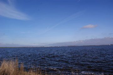 lauwersoog overzicht op het water
