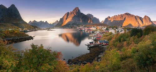 Reine Panorama