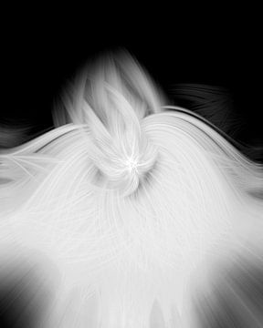 Swirl Kollektion Band 10 (abstrakte Kunst) von Art by Jeronimo