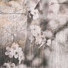Sakura (editing photos of blossoms and trees in Japanese style) by Birgitte Bergman