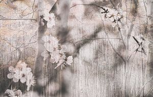 Sakura (édition de photos de fleurs et d'arbres dans un style japonais)