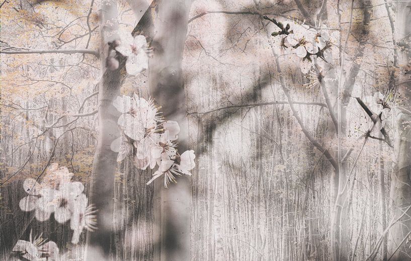 Sakura (édition de photos de fleurs et d'arbres dans un style japonais) par Birgitte Bergman