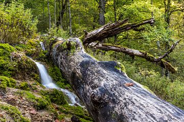 Lavé à l'eau sur Severin Frank Fotografie