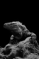 reptiel