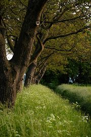 Landschaft Teil 41 von Tania Perneel