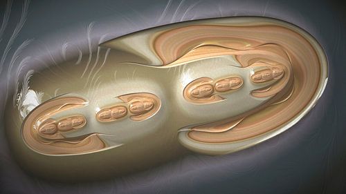 Freie Fraktale: #000089