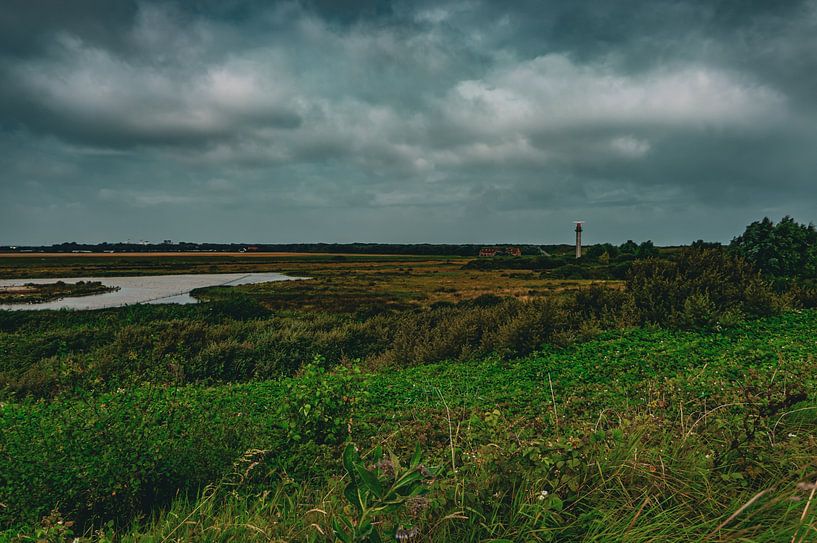 Die Landschaft von Cadzand von Geert Van Baelen