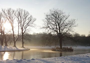 Winterswit landschap van Lotte Veldt