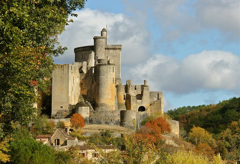 Chateau de Bonaguil, Frankreich von ArtelierGerdah