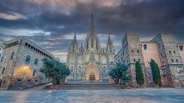 Kathedraal van Barcelona van Manjik Pictures