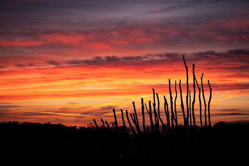 Sonnenaufgang in De Peel von Frankhuizen Photography