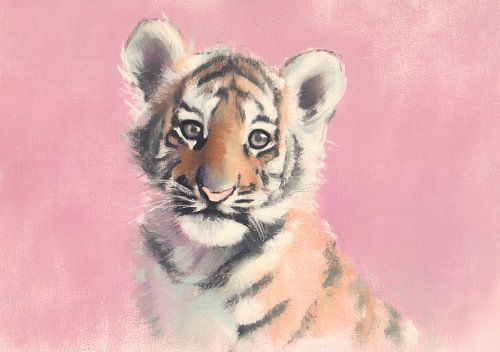 Young tiger on pink