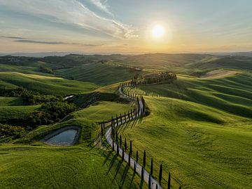 Toskanischer Traum - Rolling Hills bei Sonnenuntergang