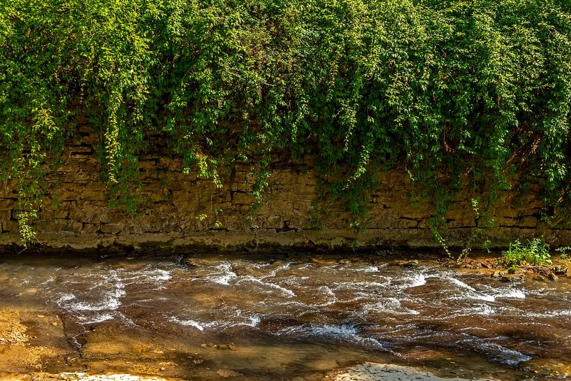 Gebirgsfluss im Park. von Mikhail Pogosov