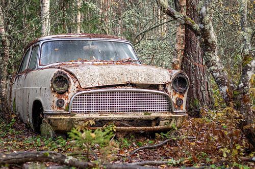 Roestige erfenissen in het bos - autokerkhof in Zweden