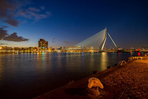 The skyline van Rotterdam met de Erasmusbrug bij zonsondergang