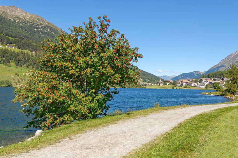 de Haidersee bij de Reschenpass van Peter Eckert