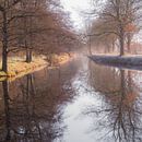Bijna als een schilderij van Martijn Brink thumbnail
