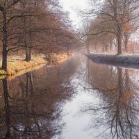 Bijna als een schilderij
