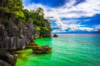 PARADISE KUST
