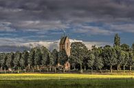 Die Kirche des friesischen Dorfes Jelsum an einem Sommerabend von Harrie Muis Miniaturansicht