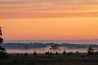 Foggy sunrise by Moetwil en van Dijk - Fotografie thumbnail