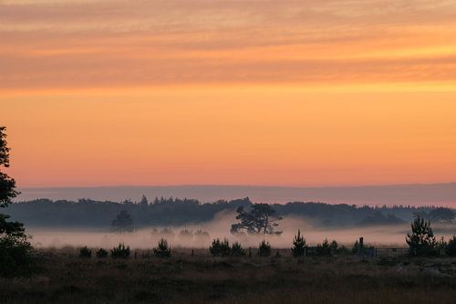 Mistige zonsopkomst