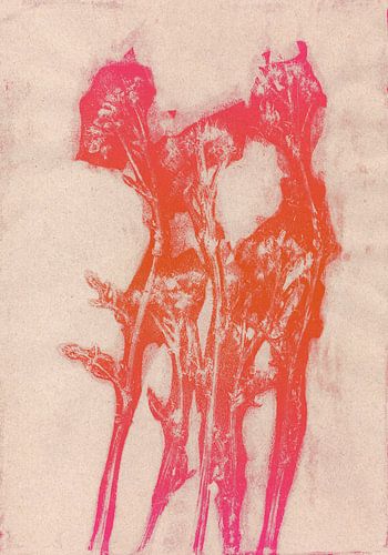 Zomerbloemen in neon oranje en roze.