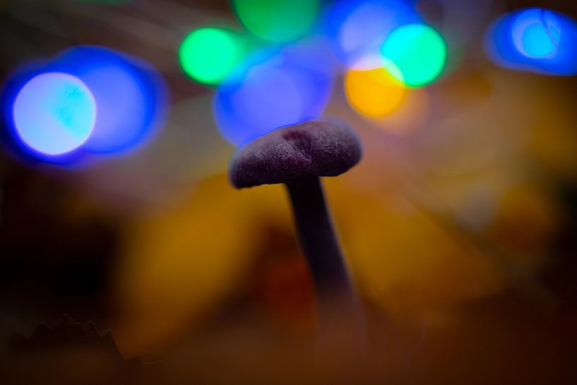 Lumières par peterheinspictures