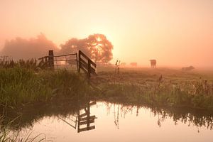 Lever de soleil par un matin brumeux sur John Leeninga