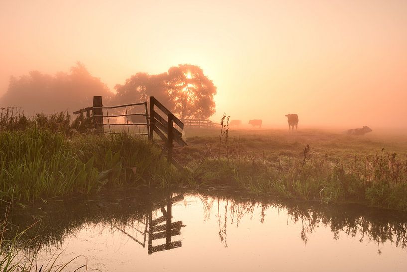 Sunrise on a foggy morning by John Leeninga