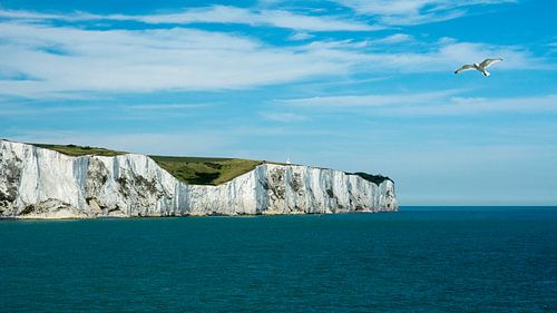 The white cliffs of Dover