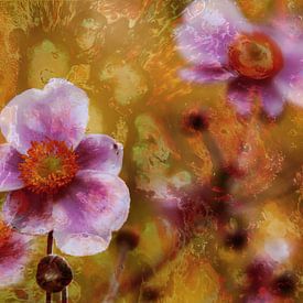 Anemones in the gold rush by Die Farbenfluesterin