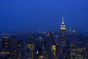 Skyline van New York vanaf Rockefeller Center (Top of the Rocks) van Natascha Teubl