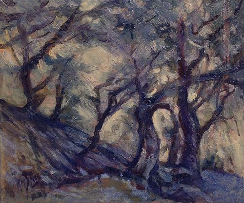 Zilvergroen licht in de olijfgaard