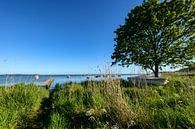Fischerhafen Groß Stresow, Nähe Putbus auf Rügen von GH Foto & Artdesign Miniaturansicht