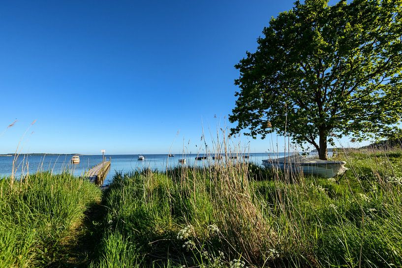 Fischerhafen Groß Stresow, Nähe Putbus auf Rügen von GH Foto & Artdesign